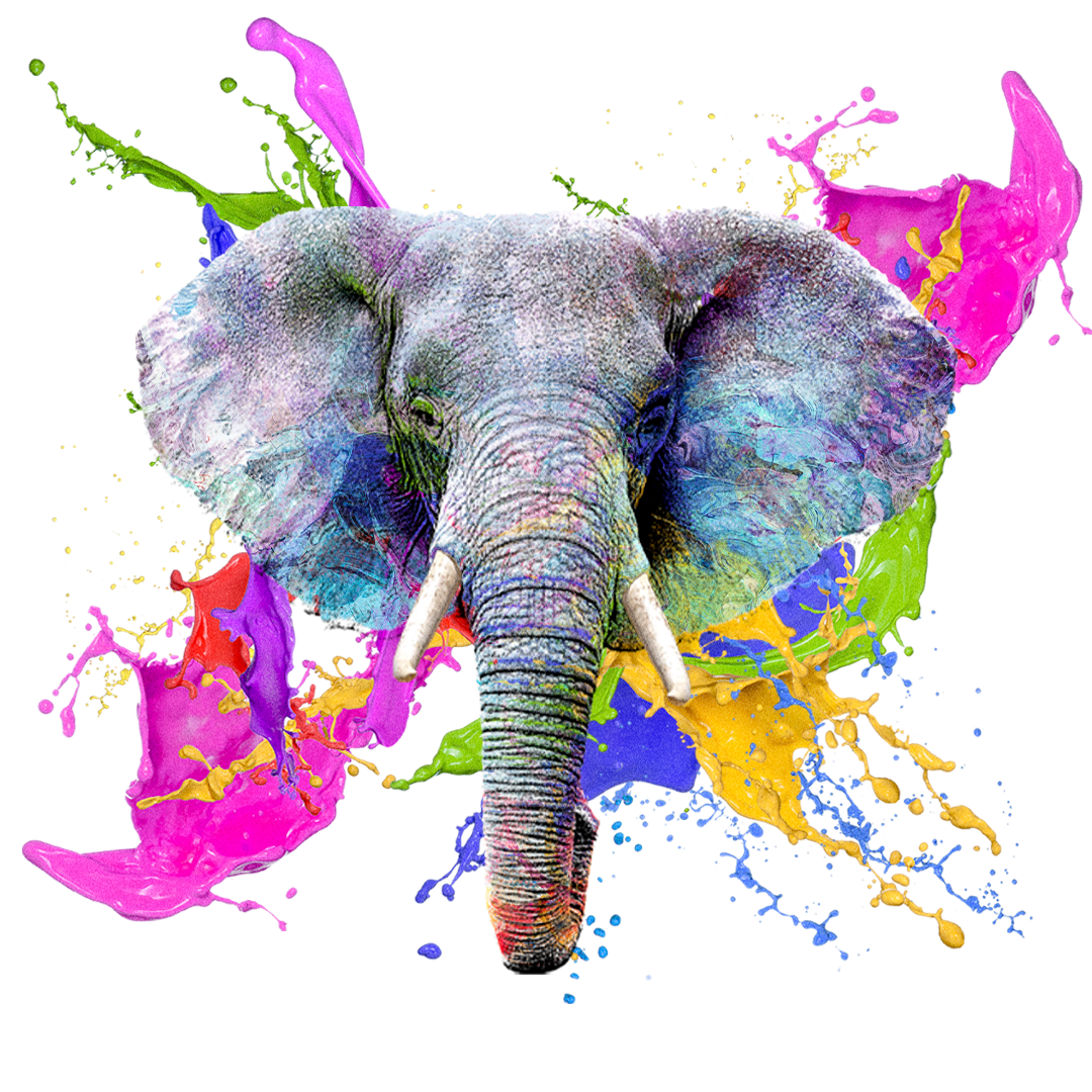Elefante colorido com splash de tinta — Tintas Marfim